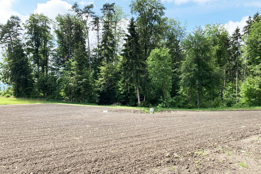 The recultivated area is sown with a lucerne/clover recultivation mixture. The recultivated area is sown with a lucerne/clover recultivation mixture.