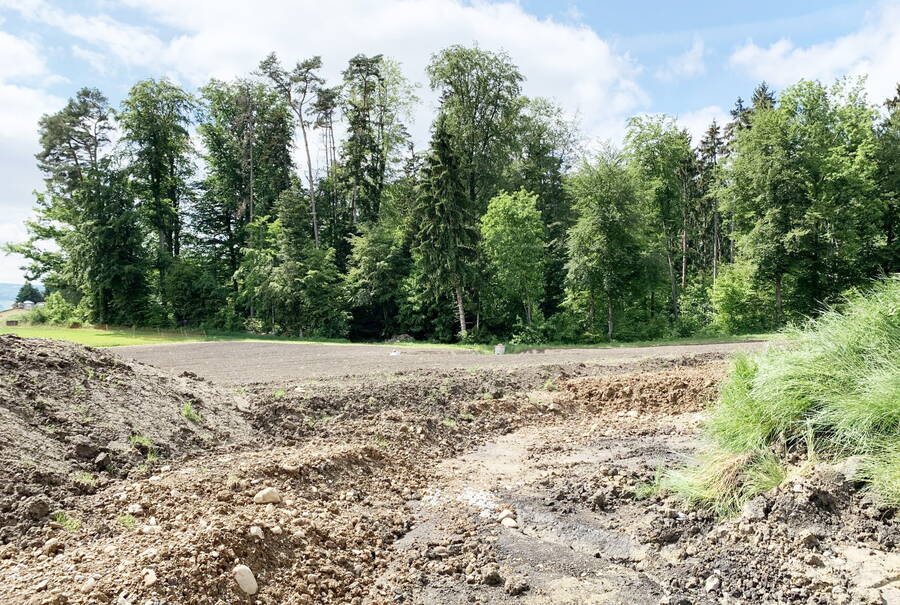 The topsoil and subsoil material is backfilled in strips using a crawler excavator. The topsoil and subsoil material is backfilled in strips using a crawler excavator.